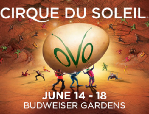 Cirque du Soleil’s “Ovo” is a Wonderful Family Show